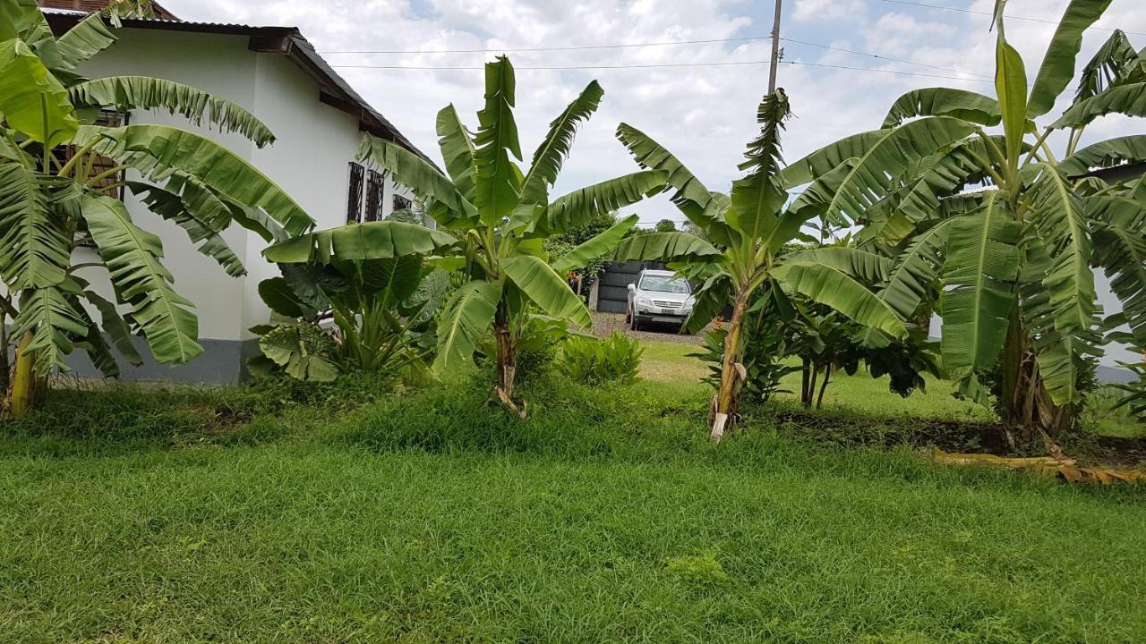 Les Hibiscus Villa Ambondrona  Kültér fotó